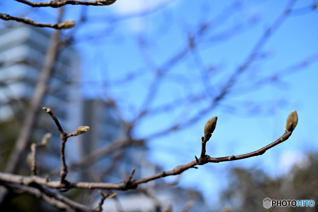 散歩コーススナップ