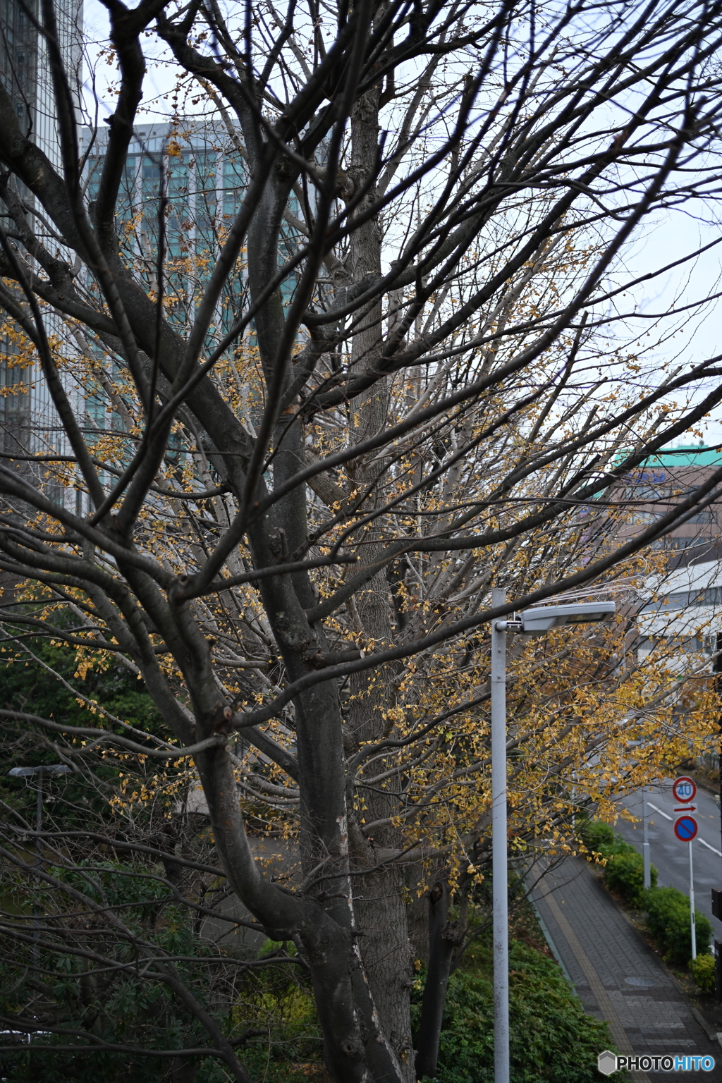 散歩コーススナップ