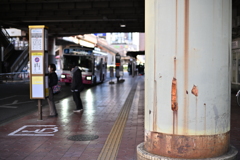 散歩コーススナップ