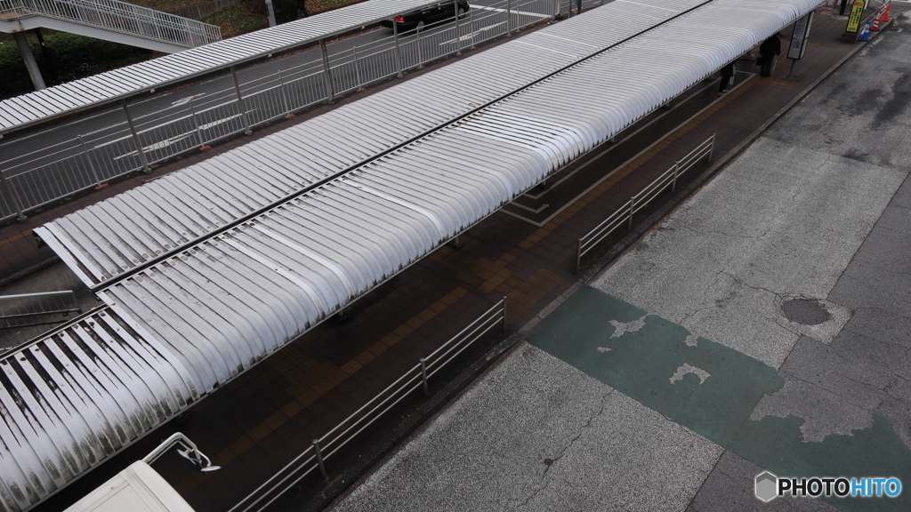 散歩コーススナップ