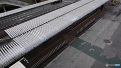 散歩コーススナップ