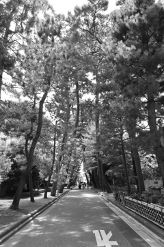 豪徳寺