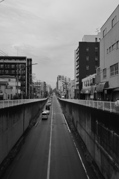 散歩コーススナップ