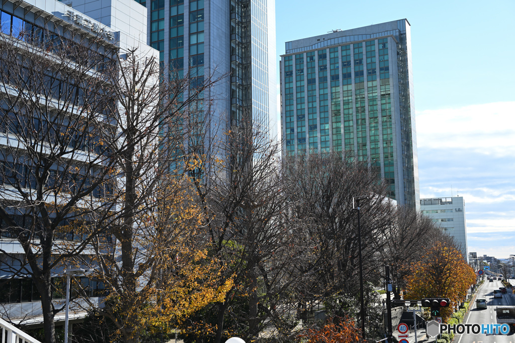 散歩コーススナップ