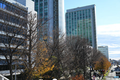 散歩コーススナップ