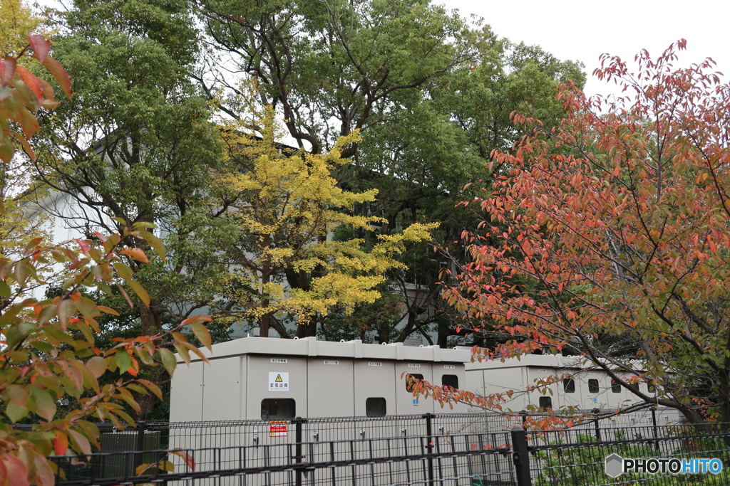 散歩コーススナップ