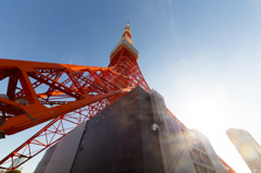 まだまだ負けない！東京タワー！