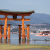 厳島神社鳥居と船
