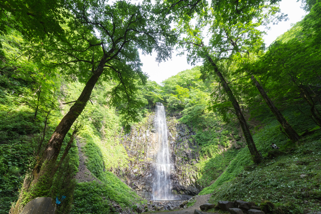 玉簾の滝　緑