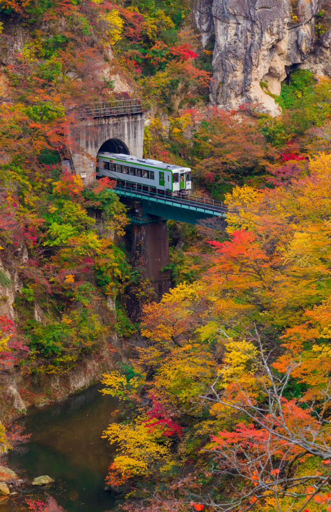 陸羽東線と紅葉