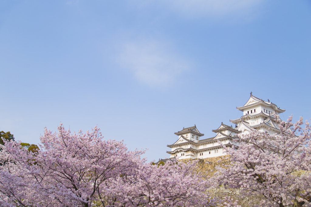 見上げる姫路城