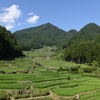 段段