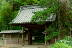 日本の風景　～侘び寂び～