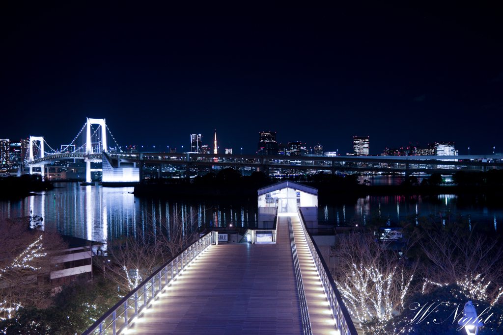 お台場の夜景