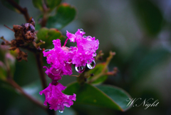 Raindrops 2