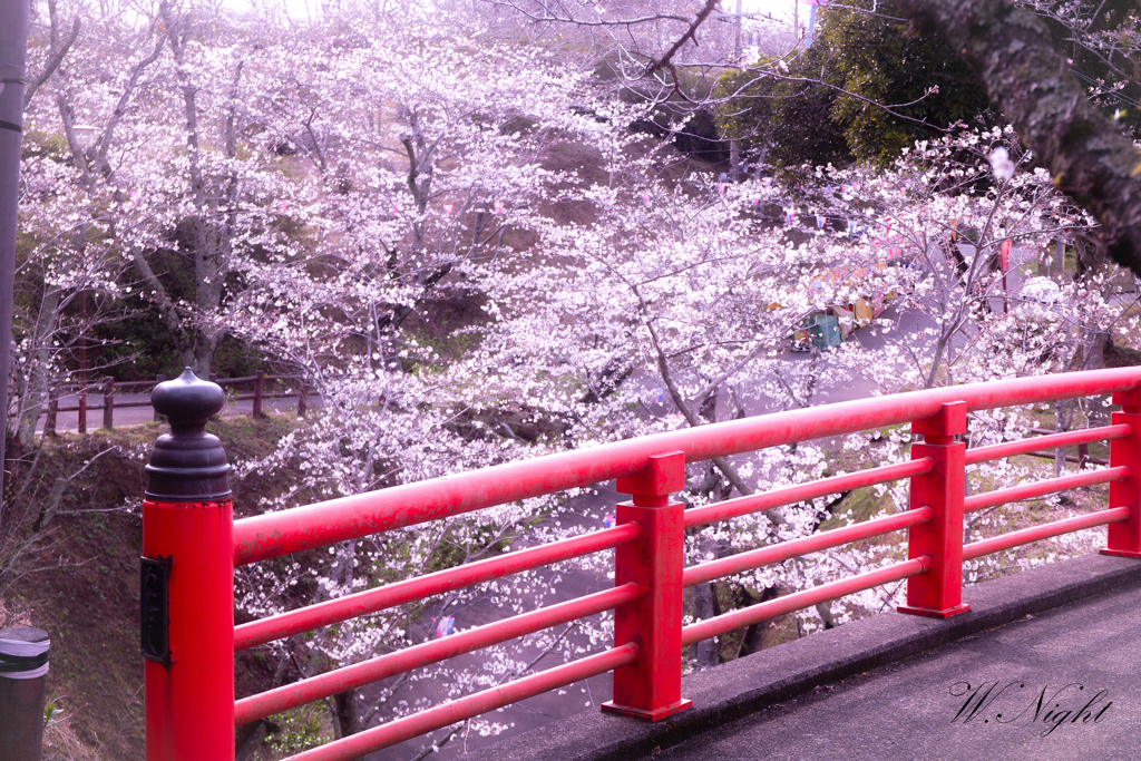 春の景色