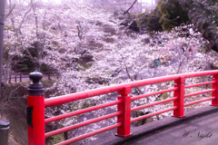 春の景色