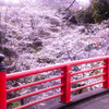 春の景色