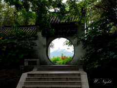 山上の寺が見える　in China
