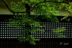 和　　～　静寂の中で　～