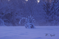 雪景