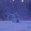 雪景