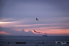 夕空