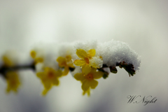 Silence