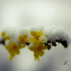 Silence