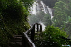 a path to waterfall