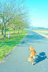 水色の朝