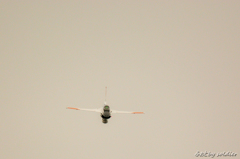 エアフェスタ浜松