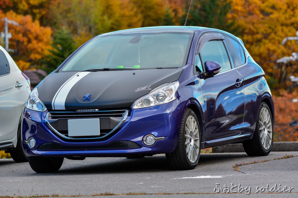208GT　P