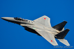 岐阜基地航空祭