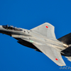 岐阜基地航空祭