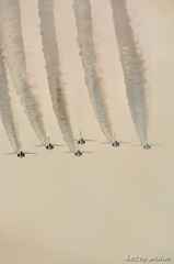 エアフェスタ浜松2015　前日BI_8