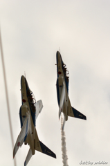 エアフェスタ浜松2015　前日BI_6