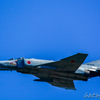 岐阜基地航空祭