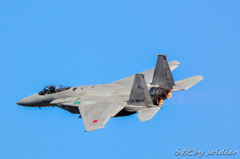 岐阜基地航空祭