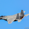 岐阜基地航空祭