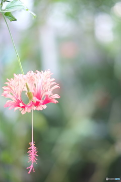 植物園にて…