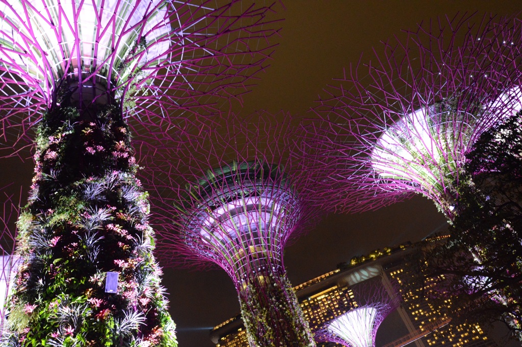 Supertree Grove