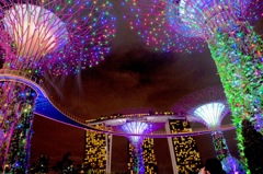 Singapore night