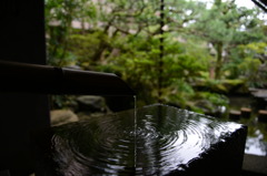 中庭に広がる水の音