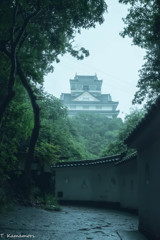 雨の日の岐阜城