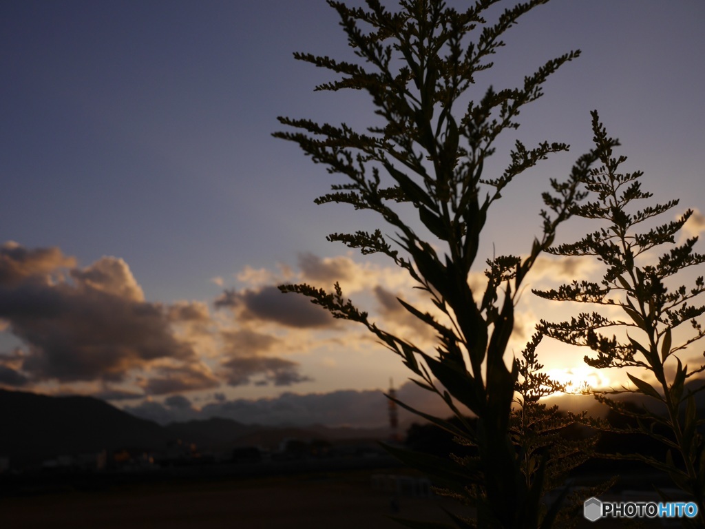 夕焼け