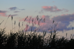 夕暮れ時 2