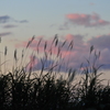 夕暮れ時 2