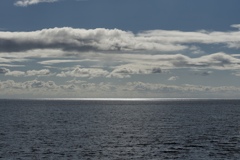 海景擬