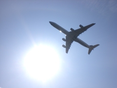 飛行機のお腹